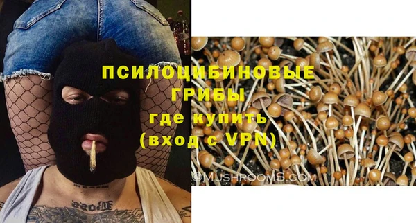 ПСИЛОЦИБИНОВЫЕ ГРИБЫ Переславль-Залесский