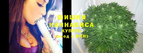 mdma Новодвинск