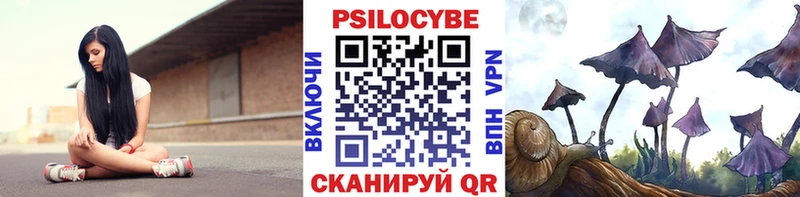 Галлюциногенные грибы Cubensis  mega как войти  Шлиссельбург 